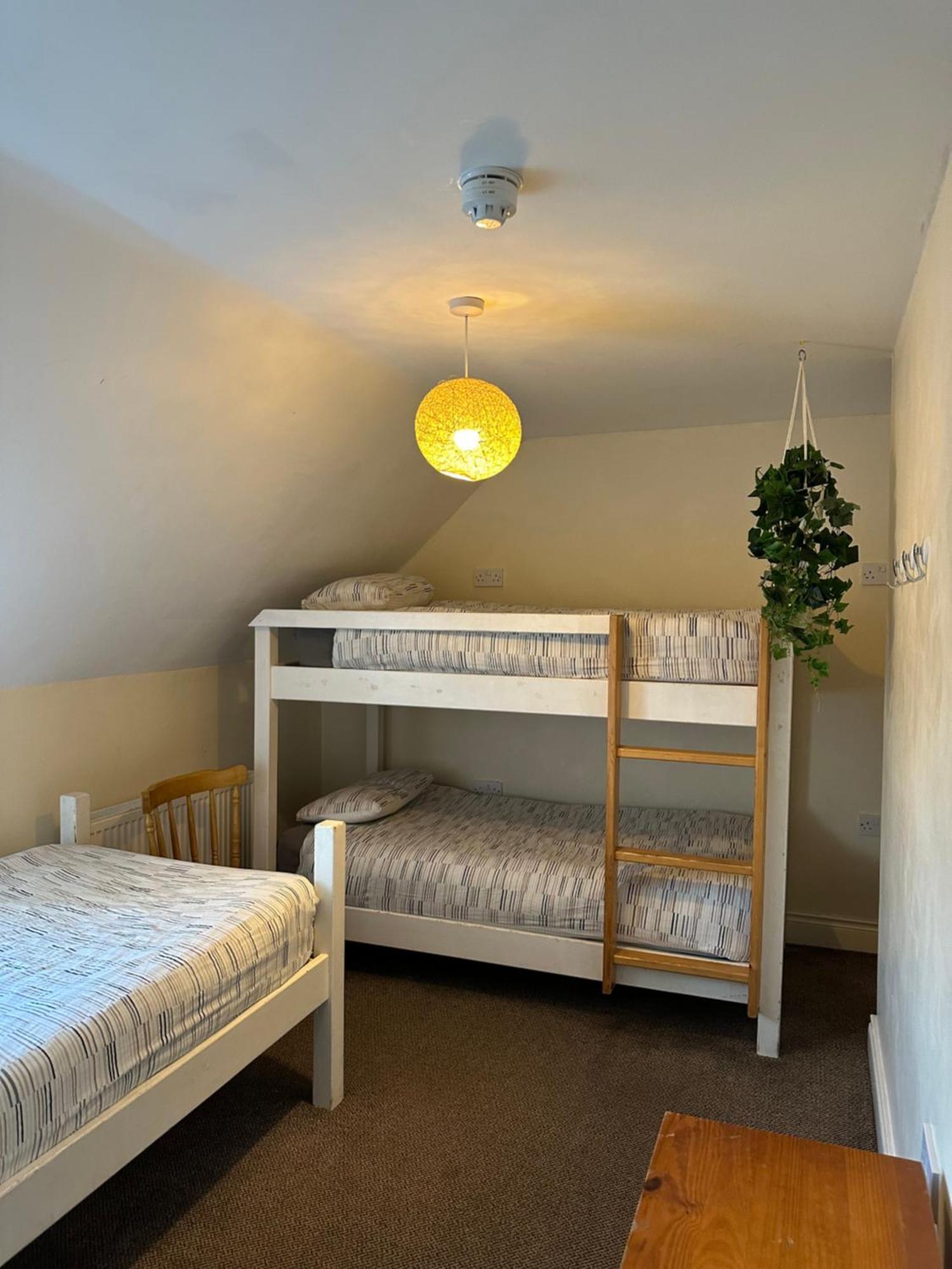 The Grapevine Hostel Дингл Экстерьер фото